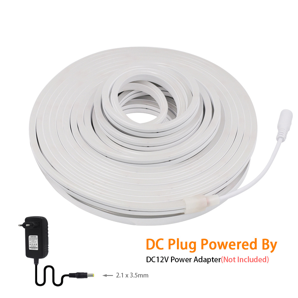 Bande Lumineuse Néon LED DC 12 - Decor Lighting Hours avis et prix